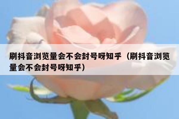 刷抖音浏览量会不会封号呀知乎（刷抖音浏览量会不会封号呀知乎） 第1张