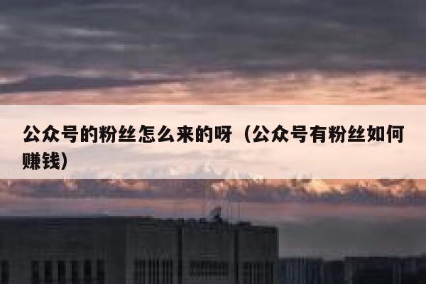 公众号的粉丝怎么来的呀（公众号有粉丝如何赚钱） 第1张