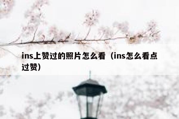 ins上赞过的照片怎么看（ins怎么看点过赞） 第1张