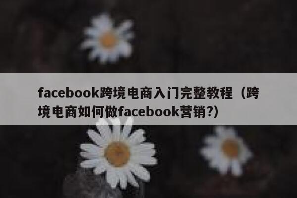 facebook跨境电商入门完整教程（跨境电商如何做facebook营销?） 第1张