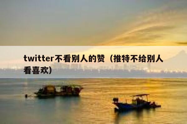 twitter不看别人的赞（推特不给别人看喜欢） 第1张