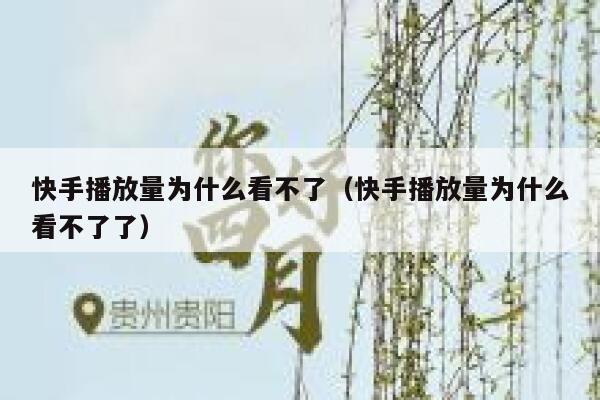 快手播放量为什么看不了（快手播放量为什么看不了了） 第1张