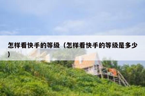 怎样看快手的等级（怎样看快手的等级是多少） 第1张
