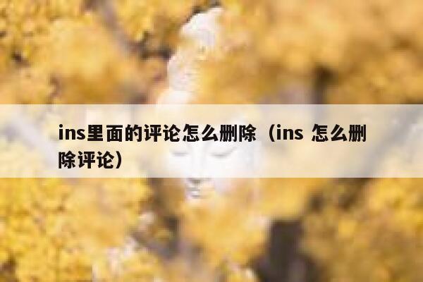 ins里面的评论怎么删除（ins 怎么删除评论） 第1张
