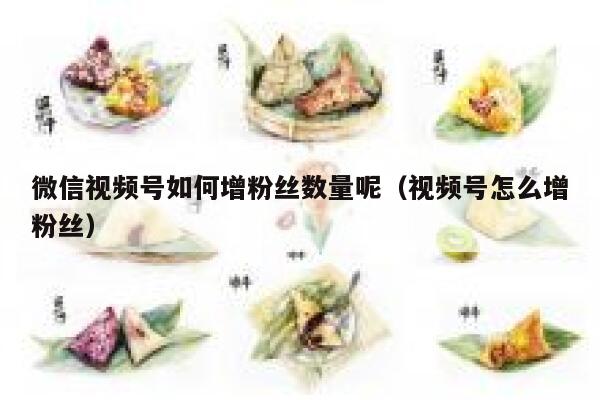 微信视频号如何增粉丝数量呢（视频号怎么增粉丝） 第1张