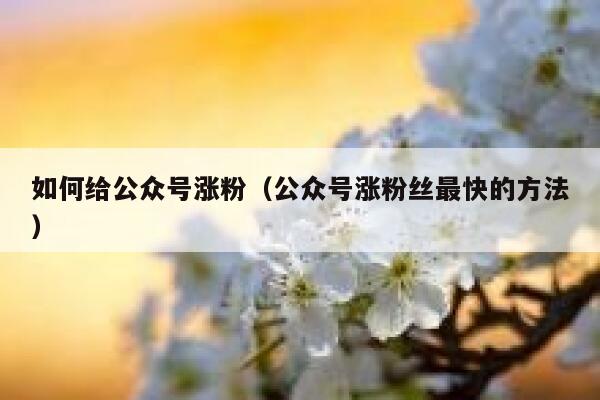 如何给公众号涨粉（公众号涨粉丝最快的方法） 第1张