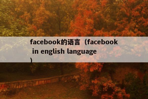 facebook的语言（facebook in english language） 第1张