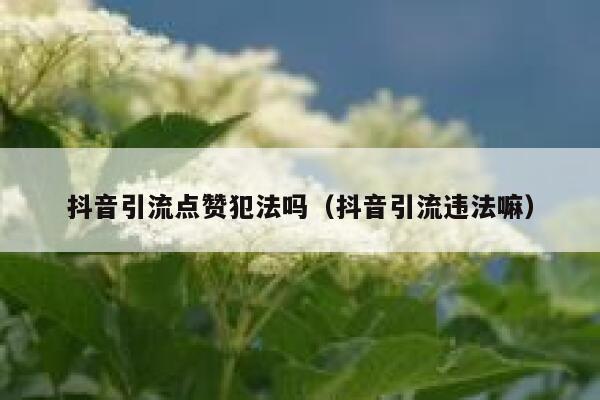 抖音引流点赞犯法吗（抖音引流违法嘛） 第1张