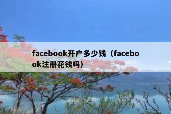 facebook开户多少钱（facebook注册花钱吗） 第1张