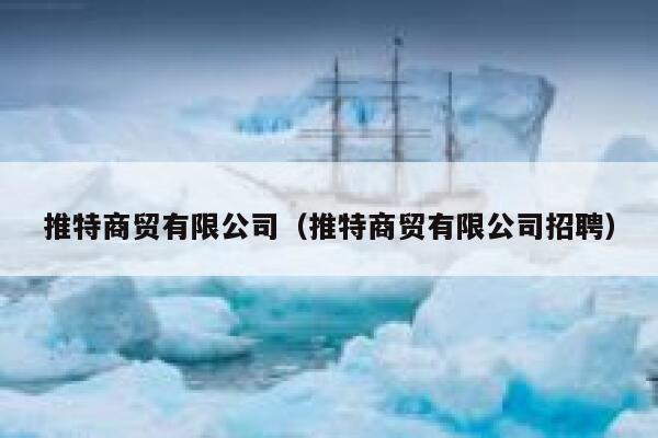 推特商贸有限公司（推特商贸有限公司招聘） 第1张