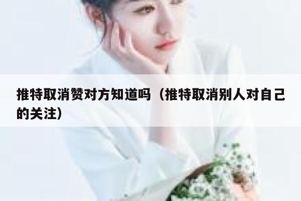 推特取消赞对方知道吗（推特取消别人对自己的关注） 第1张