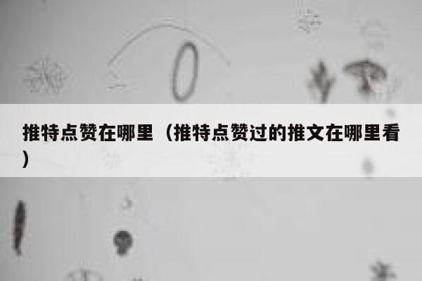 推特点赞在哪里（推特点赞过的推文在哪里看） 第1张