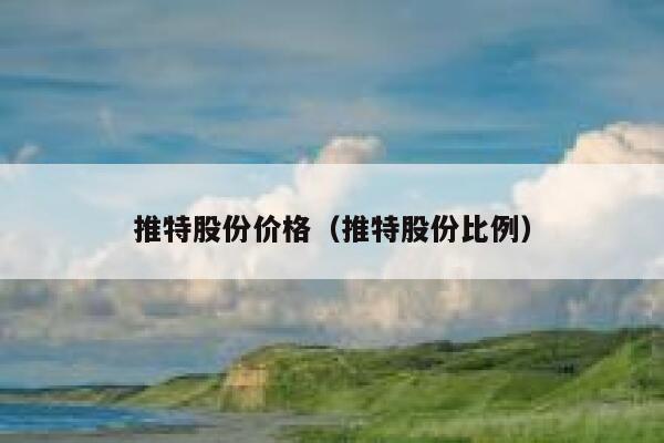 推特股份价格（推特股份比例） 第1张
