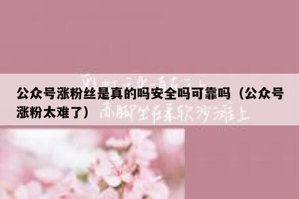 公众号涨粉丝是真的吗安全吗可靠吗（公众号涨粉太难了） 第1张