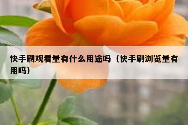 快手刷观看量有什么用途吗（快手刷浏览量有用吗） 第1张