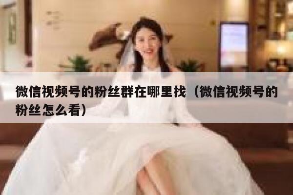微信视频号的粉丝群在哪里找（微信视频号的粉丝怎么看） 第1张