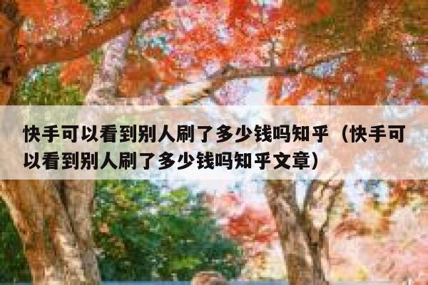 快手可以看到别人刷了多少钱吗知乎（快手可以看到别人刷了多少钱吗知乎文章） 第1张