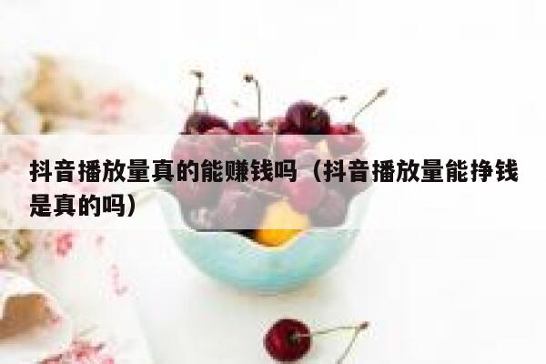 抖音播放量真的能赚钱吗（抖音播放量能挣钱是真的吗） 第1张