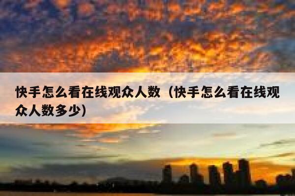 快手怎么看在线观众人数（快手怎么看在线观众人数多少） 第1张