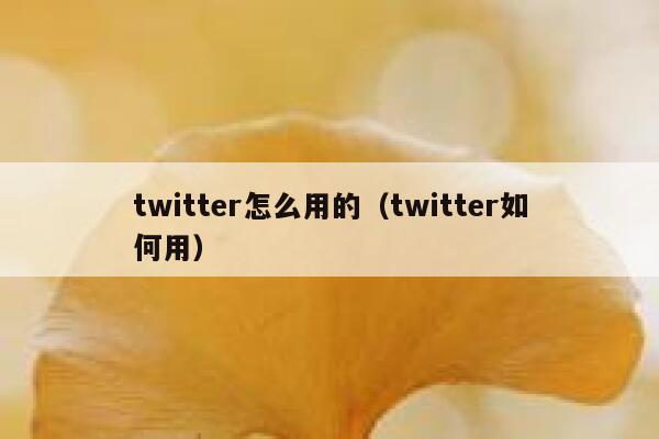 twitter怎么用的（twitter如何用） 第1张