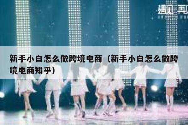 新手小白怎么做跨境电商（新手小白怎么做跨境电商知乎） 第1张