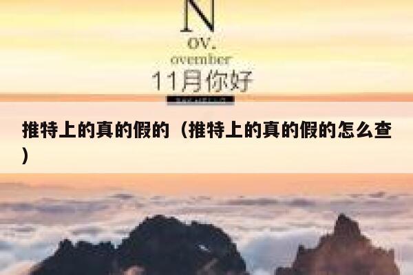 推特上的真的假的（推特上的真的假的怎么查） 第1张