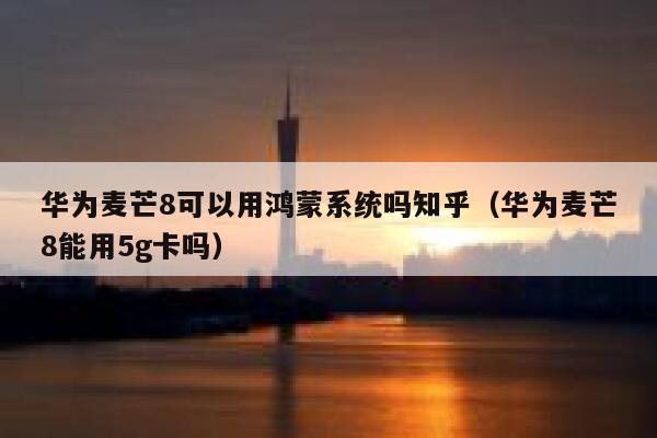 华为麦芒8可以用鸿蒙系统吗知乎（华为麦芒8能用5g卡吗） 第1张