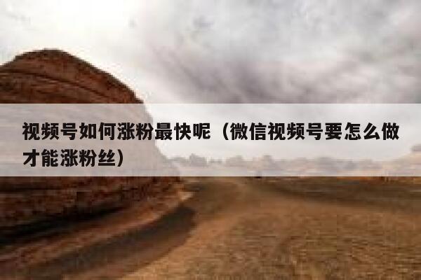 视频号如何涨粉最快呢（微信视频号要怎么做才能涨粉丝） 第1张