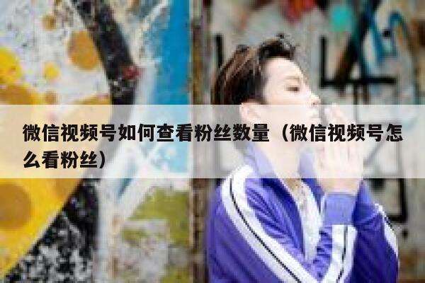 微信视频号如何查看粉丝数量（微信视频号怎么看粉丝） 第1张