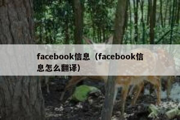 facebook信息（facebook信息怎么翻译） 第1张