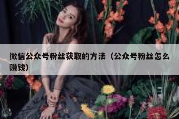 微信公众号粉丝获取的方法（公众号粉丝怎么赚钱） 第1张