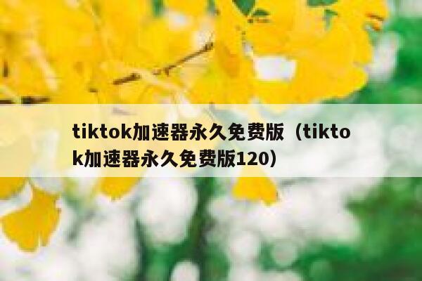 tiktok加速器永久免费版（tiktok加速器永久免费版120） 第1张