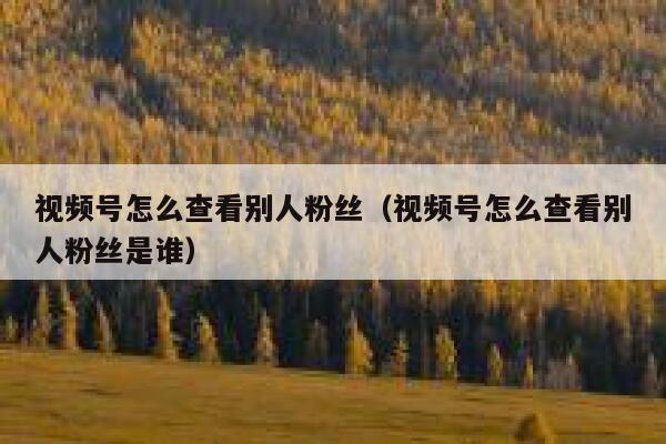 视频号怎么查看别人粉丝（视频号怎么查看别人粉丝是谁） 第1张