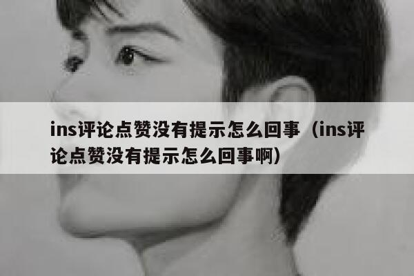 ins评论点赞没有提示怎么回事（ins评论点赞没有提示怎么回事啊） 第1张