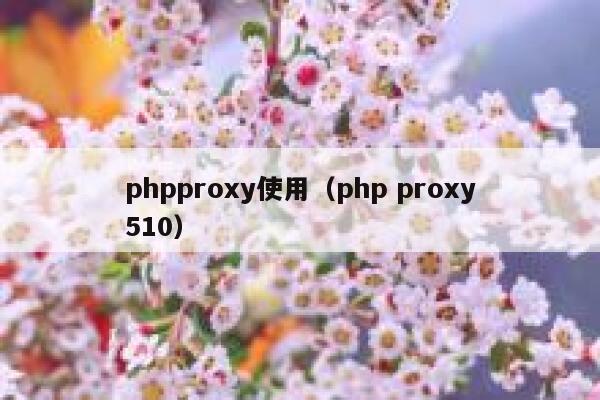 phpproxy使用（php proxy510） 第1张