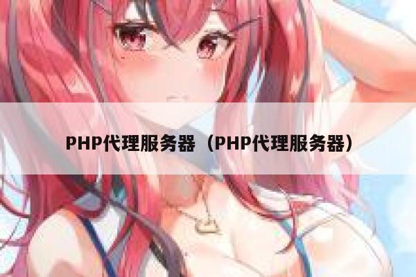 PHP代理服务器（PHP代理服务器） 第1张