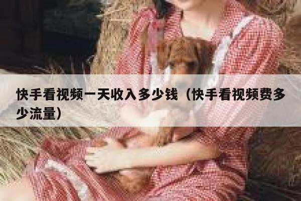 快手看视频一天收入多少钱（快手看视频费多少流量） 第1张