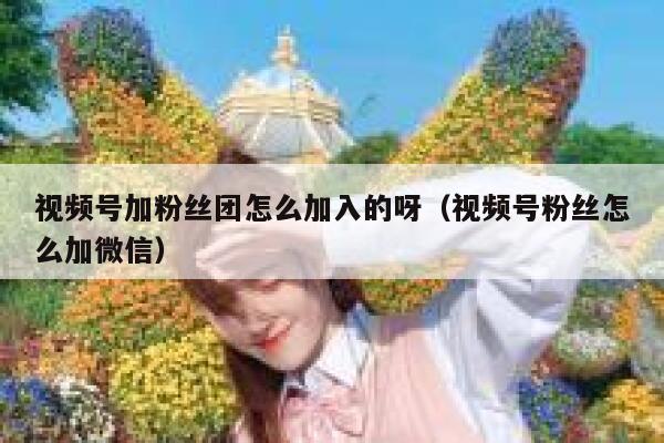 视频号加粉丝团怎么加入的呀（视频号粉丝怎么加微信） 第1张