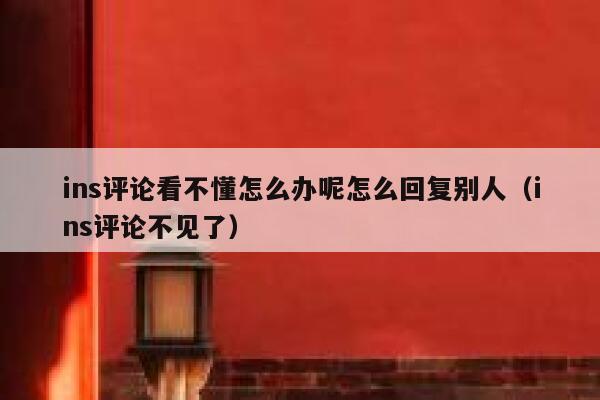 ins评论看不懂怎么办呢怎么回复别人（ins评论不见了） 第1张