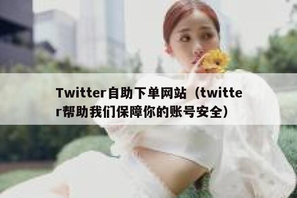 Twitter自助下单网站（twitter帮助我们保障你的账号安全） 第1张