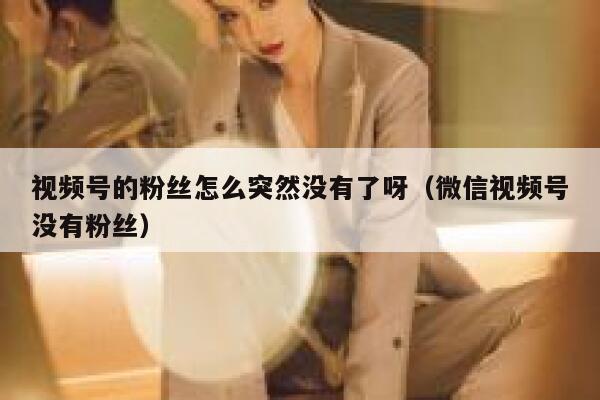 视频号的粉丝怎么突然没有了呀（微信视频号没有粉丝） 第1张