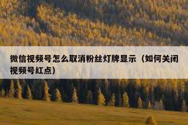 微信视频号怎么取消粉丝灯牌显示（如何关闭视频号红点） 第1张