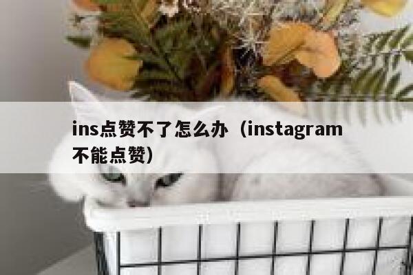 ins点赞不了怎么办（instagram不能点赞） 第1张