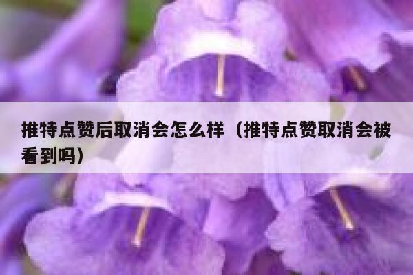 推特点赞后取消会怎么样（推特点赞取消会被看到吗） 第1张