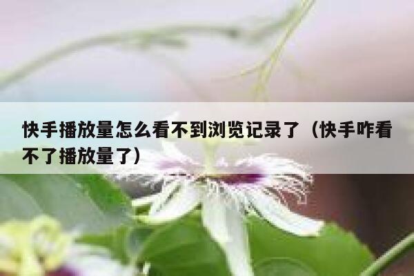 快手播放量怎么看不到浏览记录了（快手咋看不了播放量了） 第1张