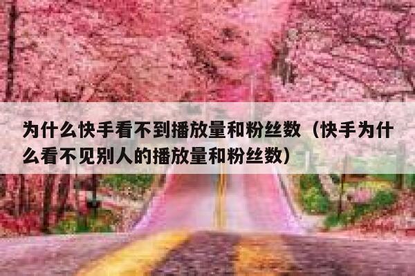 为什么快手看不到播放量和粉丝数（快手为什么看不见别人的播放量和粉丝数） 第1张