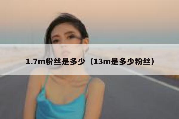 1.7m粉丝是多少（13m是多少粉丝） 第1张