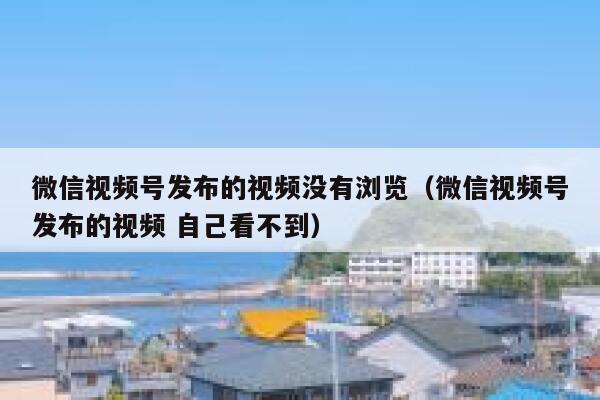 微信视频号发布的视频没有浏览（微信视频号发布的视频 自己看不到） 第1张