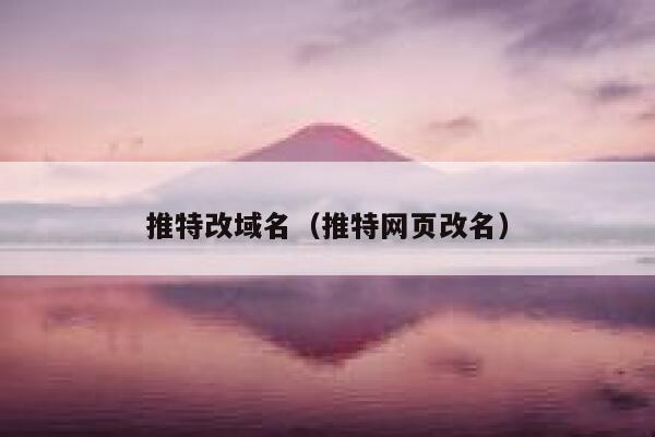 推特改域名（推特网页改名） 第1张