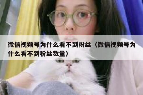 微信视频号为什么看不到粉丝（微信视频号为什么看不到粉丝数量） 第1张